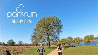 5KM Run with Music | Virtual Run Fast Race | Treadmill Workout Scenery | Bushy parkrun