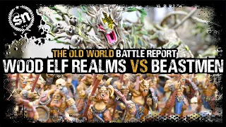 *THE OLD WORLD* Wood Elf Realms vs Beastmen Brayherds - Warhammer Old World (Battle Report)