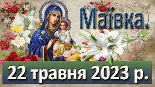 Маївка. 22 травня  2023 р.