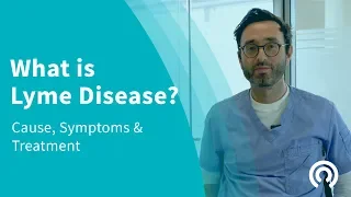 What is Lyme Disease? | Lyme Disease Causes, Symptoms & Treatment