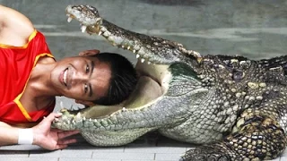 Man inserts his HEAD into ANGRY Crocodile's Mouth