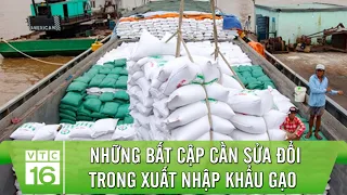 Những bất cập cần sửa đổi trong xuất khẩu gạo Việt Nam | VTC16