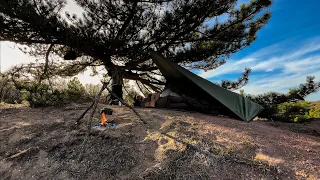 Bushcraft Awning Camping Alone in the Wild Forest of Rural Village - Camp Food From Natural Herbs