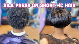 Silk Press on 4c TWA | Almost one year of growth! | JaKayla