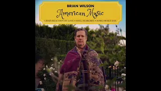 Brian Wilson - American Music