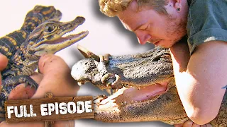 Wrestling a Gator Mum to Save her Babies 🐊 | The Wild Life of Tim Faulkner S1 Ep 4 | Untamed