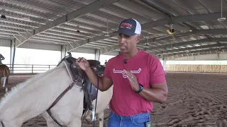 HOW TO TEACH A REINING HORSE TO CIRCLE