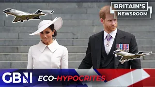 Eco-hypocrites Prince Harry and Meghan Markle take PRIVATE JET for 3.5 hour flight