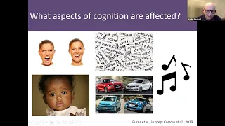 How do we diagnose prosopagnosia (faceblindness)? Its problems and solutions