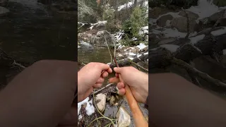 A Fly Fishing First