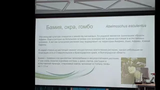 Редкие овощные культуры на огороде