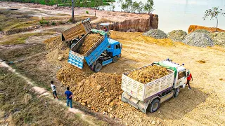 Just Starting New Project Wonderful  Dozer Pushing  Stone Filling  And Dump Truck 5TON  Spreading