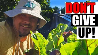 10 Gardening Mistakes To Avoid In 2023