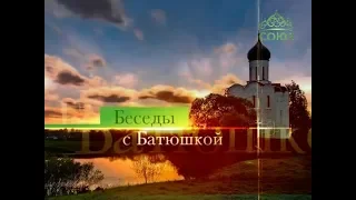 Беседы с батюшкой (ТК «Союз», 20 января 2019 г.)