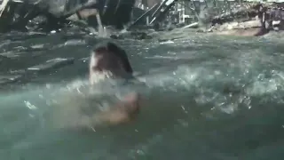 Essa cena me dá arrepios até hoje    olha o tamanho do tsunami!  Filme  Além da Vida   Siga o