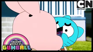 Der Kuss | Die Fantastische Welt Von Gumball | Cartoon Network