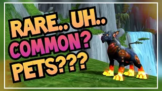 Unique and EASY PETS! | Coolest Pets with NO Spawn Timer | World of Warcraft Hunter Pets 2020