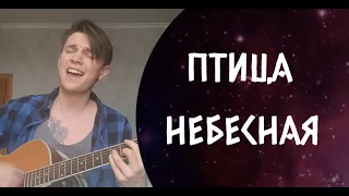 ПТИЦА НЕБЕСНАЯ - красивая баллада на гитаре