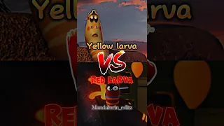 Red larva vs yellow larva