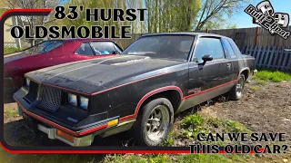 Rescuing this abandoned '83 Hurst Oldmobile, truly a hidden gem!