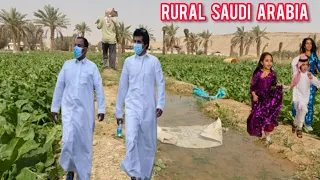 Village Life In Saudi Arabia | Most Beautiful And Natural Village Life In Saudi Arabia