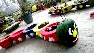 Cement Craft || DIY Caterpillar Planter