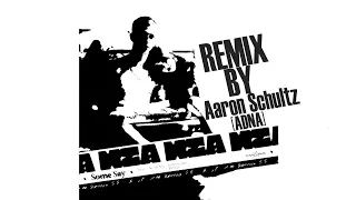 Nea - Some Say  (Hardcore Remix by Aaron Schultz [ADNA]) / [Blue (Da Ba Dee) Hardcore]