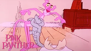 Pink Panther Becomes a Dad! | 35-Minute Compilation | Pink Panther Show