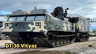 DT 30 Vityaz