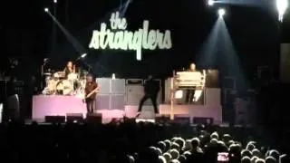 The stranglers tank