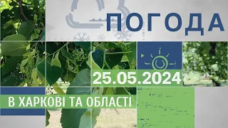 Прогноз погоди в Харкові та Харківській області на 25 травня