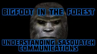 BIGFOOT IN THE FOREST - COMMUNICATIONS