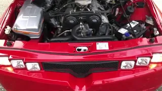 Engine Bay