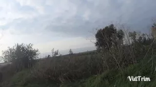 Охота на фазана 2016.