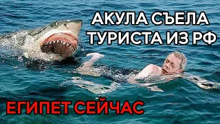 ЕГИПЕТ 2023 ЭКСТРЕННО ❗️ АКУЛА СЪЕЛА ТУРИСТА Хургада напала пляж Dream beach SHARK ATTACKED СРОЧНО