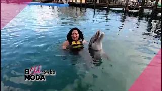 Nadé con los delfines en OCEAN WORLD- Puerto Plata- República Dominicana