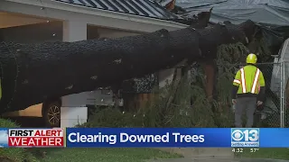 Tree clean-up continues in Sacramento