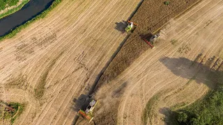 Harvest 2020 | Žně 2020 - Řepka |  4x Claas lexion + 2x Claas Tucano | Opavice a.s