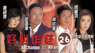 TVB查案劇 | 追蹤黃宗澤(月山)遇上車禍 | 好心作怪 26/30 | 苗僑偉、黃宗澤、周麗淇、萬綺雯、黃智雯、王浩信 | 粵語中字 | 2013