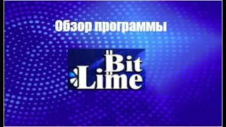 Обзор программы BitLime. Как заработать в 2022 году?