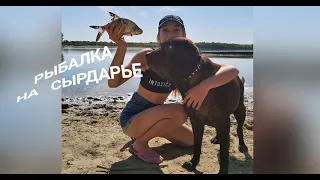 Рыбалка на Сырдарье в Шымкенте!