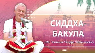 24/02/2023 Сиддха-бакула. Е.М. Чайтанья Чандра Чаран прабху. Джаганнатха Пури, Индия