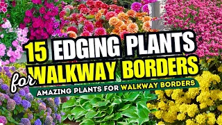 😱 Top 15 AMAZING Edging Plants for Borders! 😍 SECRET to Stunning Walkways! 👀