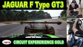 GT7 - CIRCUIT EXPERIENCE DRAGON TRAIL GOLD - JAGUAR F TYPE GR3