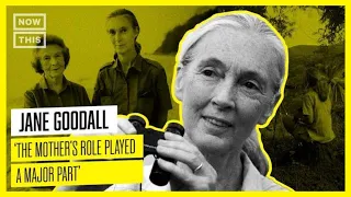 Jane Goodall's Grandson on Her Legacy Inspiring New Generations of Activists