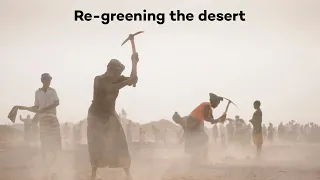 Turning the desert green in Burkina Faso