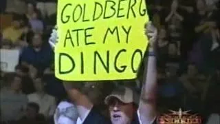 Goldberg vs Big Vito
