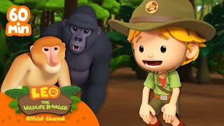 1 HOUR OF FUNNY AND INTELLIGENT MONKEYS AND GORILLAS! 🦍 | Leo the Wildlife Ranger | #compilation