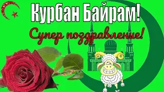 Красивые видео поздравления с праздником Курбан Байрам на праздник курбан-байрам