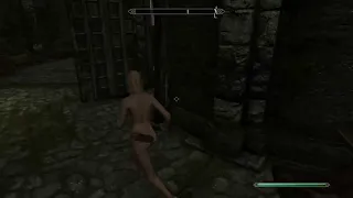 Skyrim AE: Tyjira The Wild